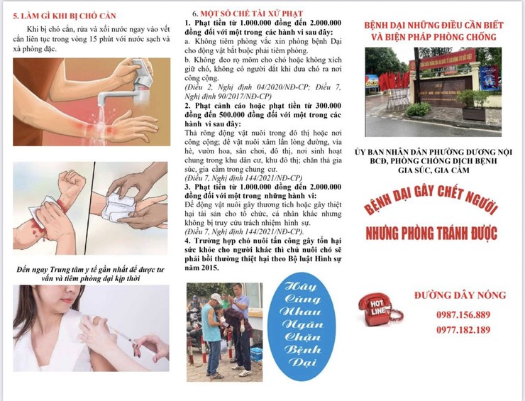 Phường Dương Nội chủ động triển khai các biện pháp phòng chống bệnh dại, hướng tới mục tiêu khống chế và tiến tới loại trừ bệnh dại vào năm 2030- Ảnh 1.