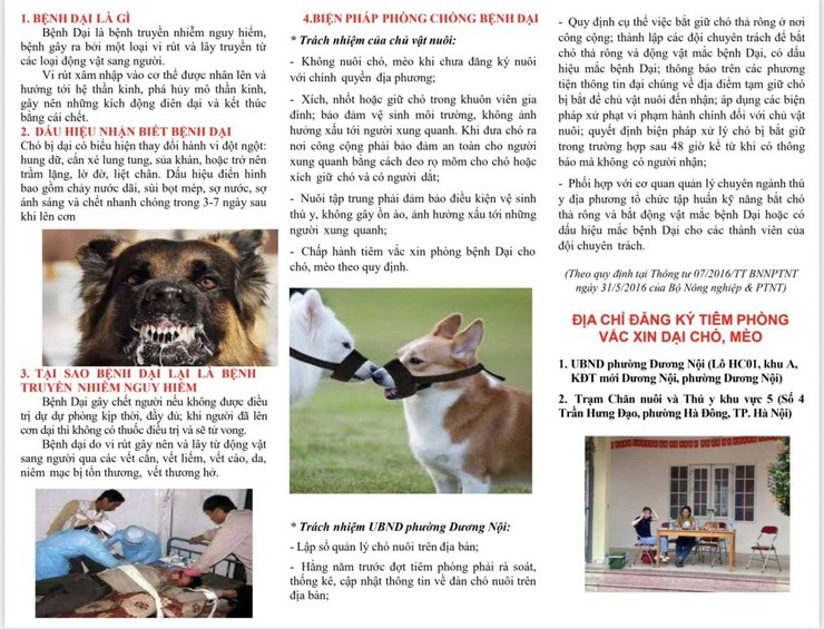 Phường Dương Nội chủ động triển khai các biện pháp phòng chống bệnh dại, hướng tới mục tiêu khống chế và tiến tới loại trừ bệnh dại vào năm 2030- Ảnh 2.