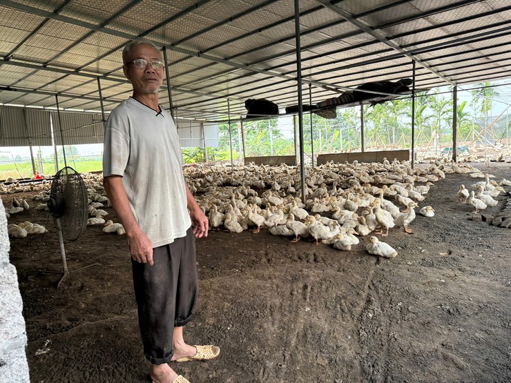 NGƯỜI CÁN BỘ MẶT TRẬN GƯƠNG MẪU, LÀM KINH TẾ GIỎI- Ảnh 1.