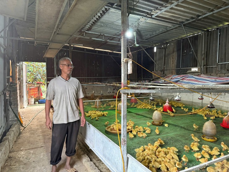 NGƯỜI CÁN BỘ MẶT TRẬN GƯƠNG MẪU, LÀM KINH TẾ GIỎI- Ảnh 3.