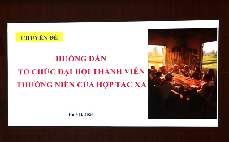 Xã Bất Bạt tập huấn nâng cao năng lực hợp tác xã, thúc đẩy phát triển sản phẩm OCOP- Ảnh 2.