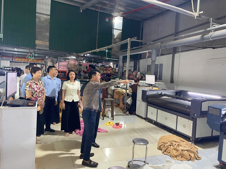 Mặt trận Tổ quốc Việt Nam TP Hà Nội giám sát công tác bảo vệ môi trường tại Hát Môn- Ảnh 4.