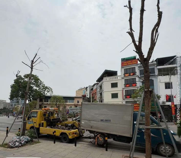 Xử lý vi phạm đỗ ô tô sai quy định tại phố Huỳnh Thúc Kháng kéo dài- Ảnh 5.