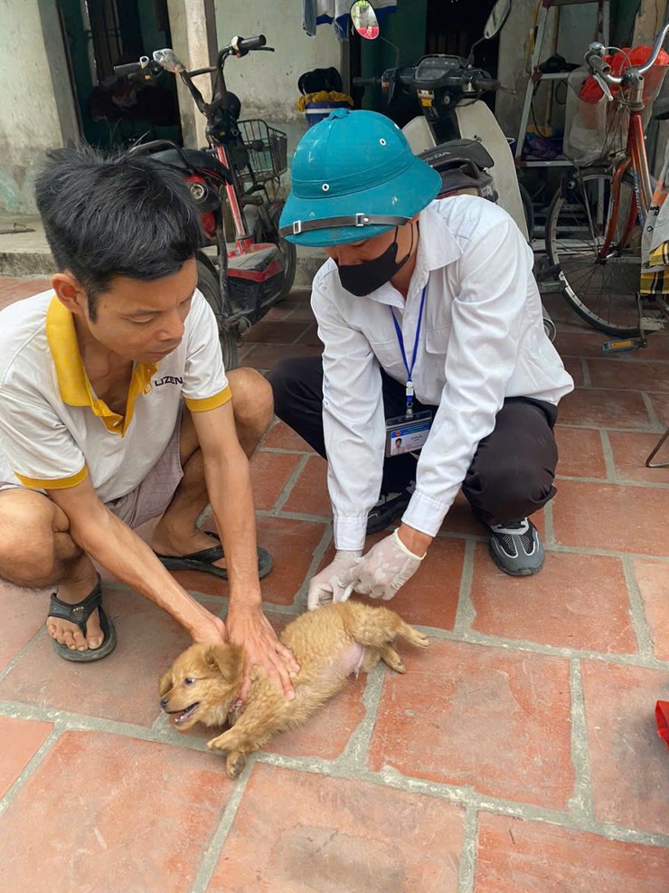 TIẾP TỤC ĐẨY MẠNH TIÊM PHÒNG VẮC XIN DẠI CHO ĐÀN CHÓ, MÈO TRÊN ĐỊA BÀN XÃ THANH OAI- Ảnh 8.