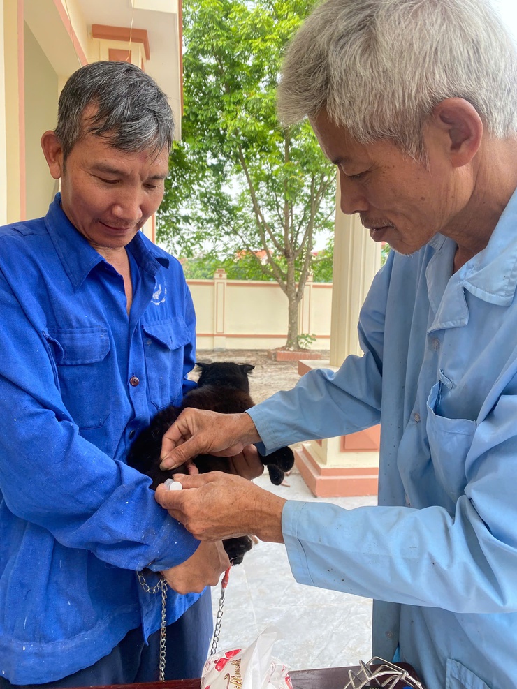 Nam Phù tiếp tục đẩy mạnh tiêm phòng vắc xin dại cho đàn chó, mèo, chủ động bảo vệ sức khỏe cộng đồng- Ảnh 1.