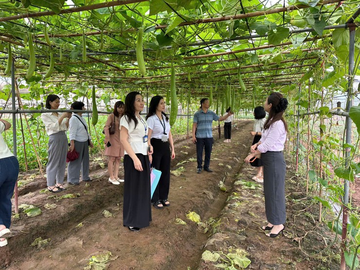 Phường Dương Nội kiểm tra, truy xuất nguồn gốc thực phẩm tại các đơn vị cung ứng thực phẩm cho các trường học trên địa bàn phường- Ảnh 2.