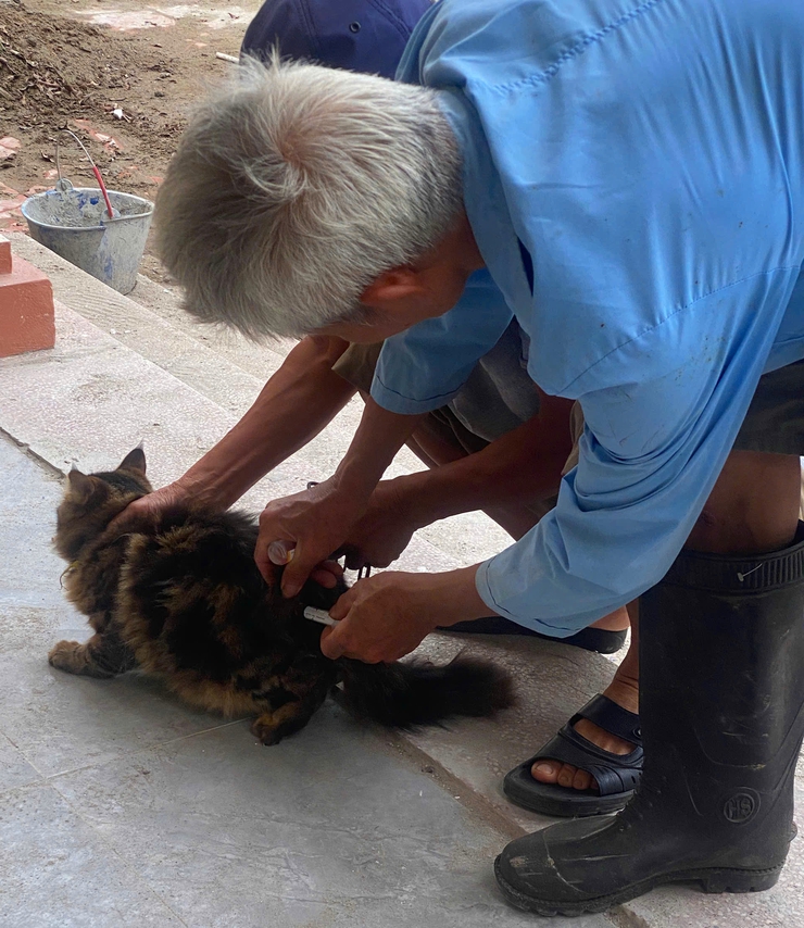 Nam Phù tiếp tục đẩy mạnh tiêm phòng vắc xin dại cho đàn chó, mèo, chủ động bảo vệ sức khỏe cộng đồng- Ảnh 3.