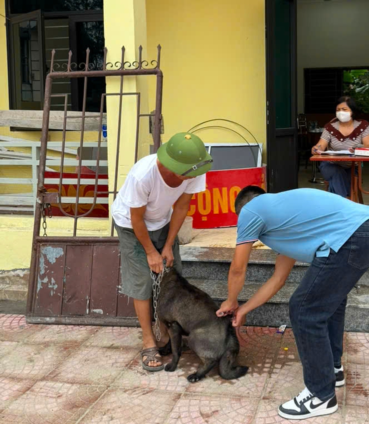Nam Phù tiếp tục đẩy mạnh tiêm phòng vắc xin dại cho đàn chó, mèo, chủ động bảo vệ sức khỏe cộng đồng- Ảnh 2.