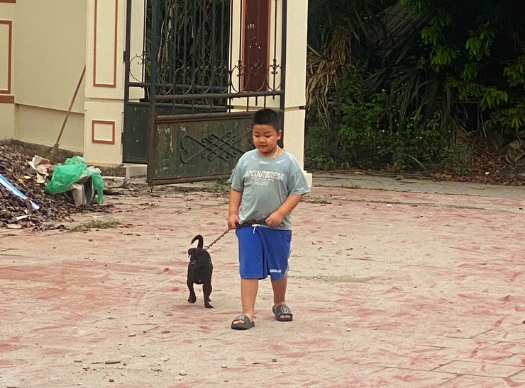 Nam Phù tiếp tục đẩy mạnh tiêm phòng vắc xin dại cho đàn chó, mèo, chủ động bảo vệ sức khỏe cộng đồng- Ảnh 5.