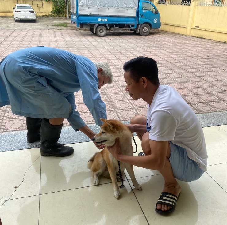 Nam Phù tiếp tục đẩy mạnh tiêm phòng vắc xin dại cho đàn chó, mèo, chủ động bảo vệ sức khỏe cộng đồng- Ảnh 7.