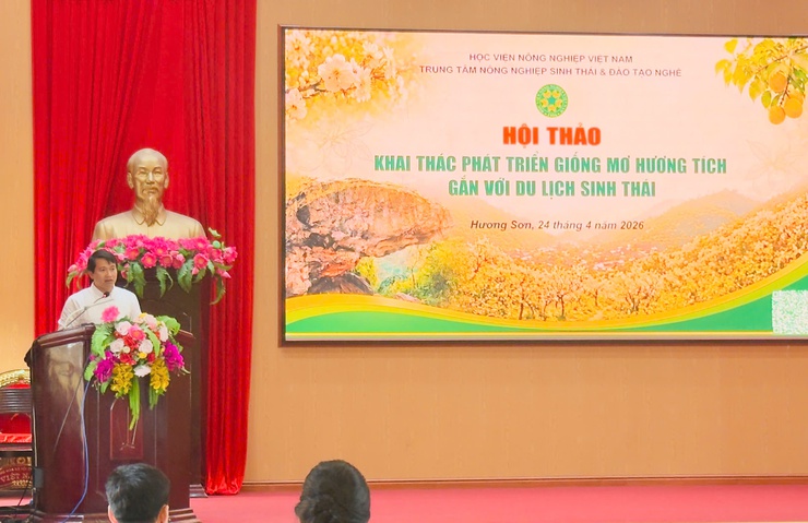 Hội thảo khai thác, phát triển giống mơ Hương Tích gắn với du lịch sinh thái- Ảnh 2.