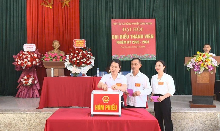 HTXNN LONG XUYÊN TỔ CHỨC ĐẠI HỘI ĐẠI BIỂU THÀNH VIÊN NHIỆM KỲ 2026–2031- Ảnh 5.