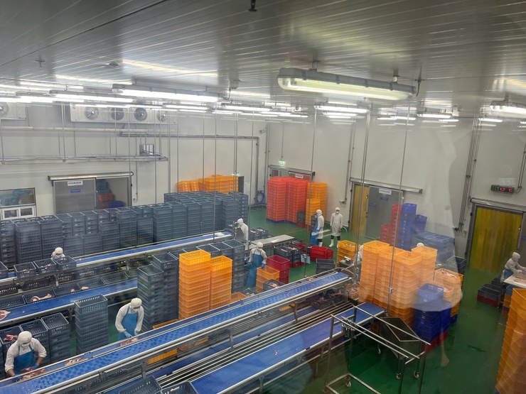 Thanh Oai kiểm tra, truy xuất nguồn gốc thực phẩm phục vụ bữa ăn bán trú của học sinh- Ảnh 2.