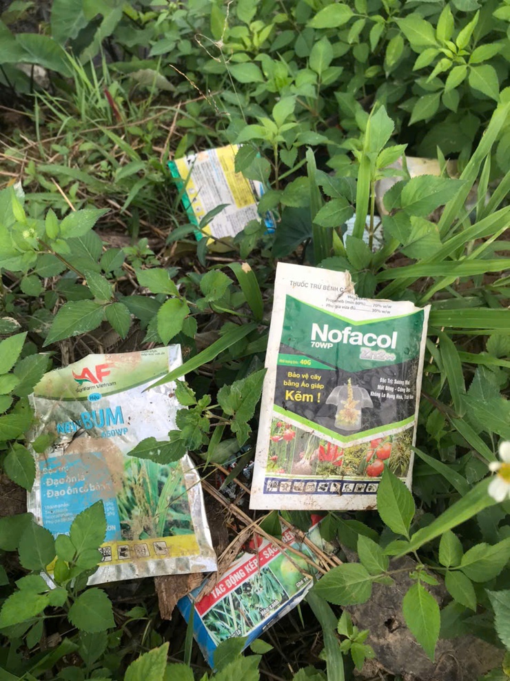 TĂNG CƯỜNG THU GOM, XỬ LÝ VỎ BAO GÓI THUỐC BẢO VỆ THỰC VẬT SAU SỬ DỤNG- Ảnh 1.