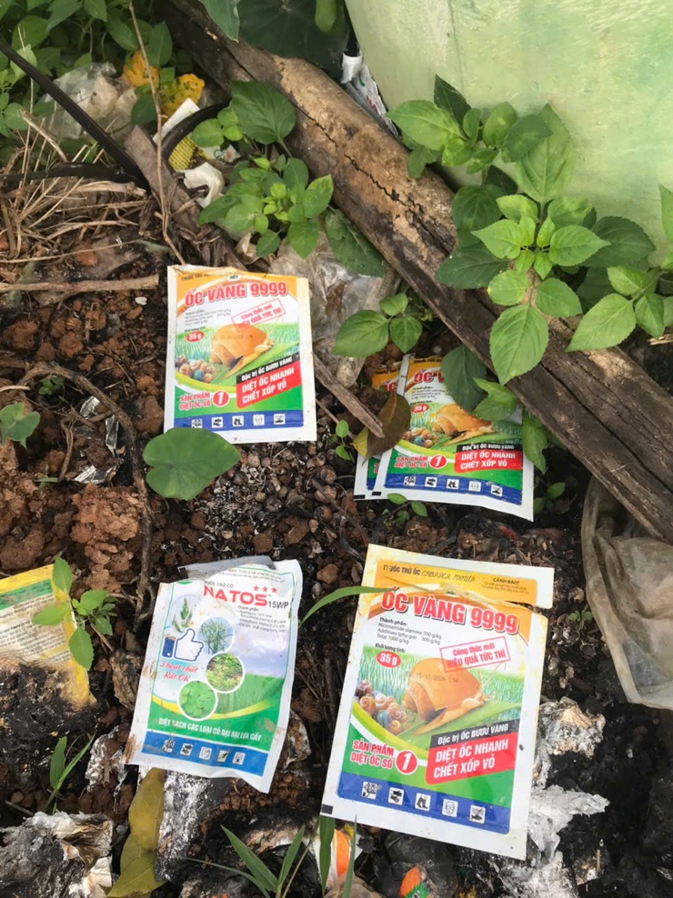 TĂNG CƯỜNG THU GOM, XỬ LÝ VỎ BAO GÓI THUỐC BẢO VỆ THỰC VẬT SAU SỬ DỤNG- Ảnh 2.