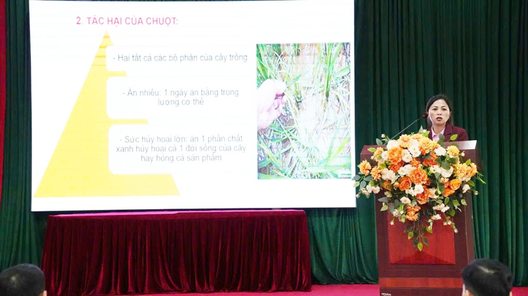 Xã Thượng Phúc triển khai chiến dịch diệt chuột vụ xuân năm 2026- Ảnh 2.