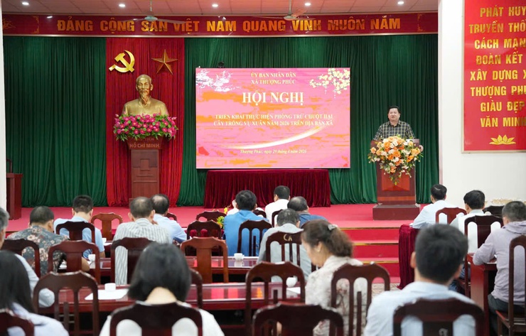 Xã Thượng Phúc triển khai chiến dịch diệt chuột vụ xuân năm 2026- Ảnh 1.