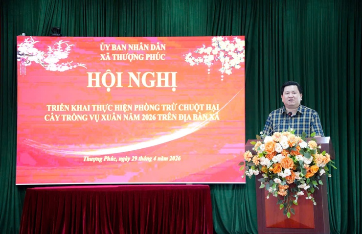 Xã Thượng Phúc triển khai chiến dịch diệt chuột vụ xuân năm 2026- Ảnh 3.
