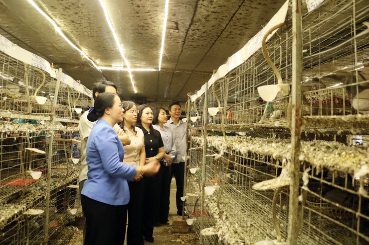 Chủ tịch Hội Nông dân thành phố Hà Nội Phạm Hải Hoa về làm việc tại xã Quảng Bị- Ảnh 1.