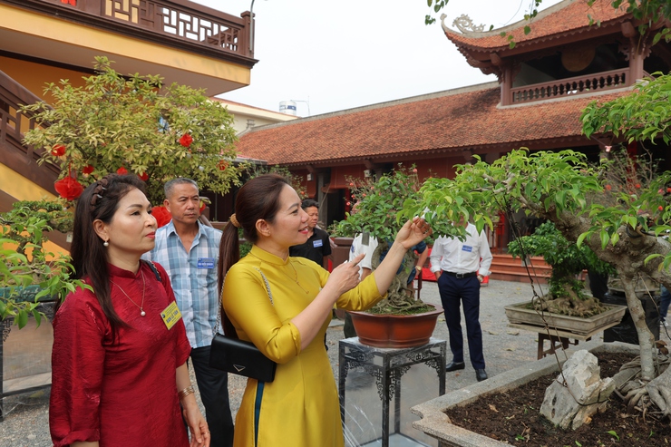 Câu lạc bộ Sinh vật cảnh Trung Hòa, xã Phú Nghĩa tổ chức trưng bày sinh vật cảnh chào mừng Lễ hội truyền thống làng Trung Cao năm 2026- Ảnh 16.