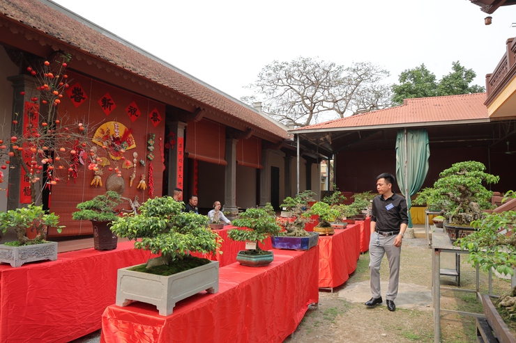 Câu lạc bộ Sinh vật cảnh Trung Hòa, xã Phú Nghĩa tổ chức trưng bày sinh vật cảnh chào mừng Lễ hội truyền thống làng Trung Cao năm 2026- Ảnh 10.