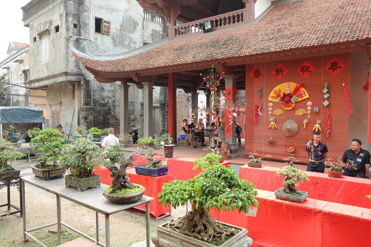 Câu lạc bộ Sinh vật cảnh Trung Hòa, xã Phú Nghĩa tổ chức trưng bày sinh vật cảnh chào mừng Lễ hội truyền thống làng Trung Cao năm 2026- Ảnh 11.