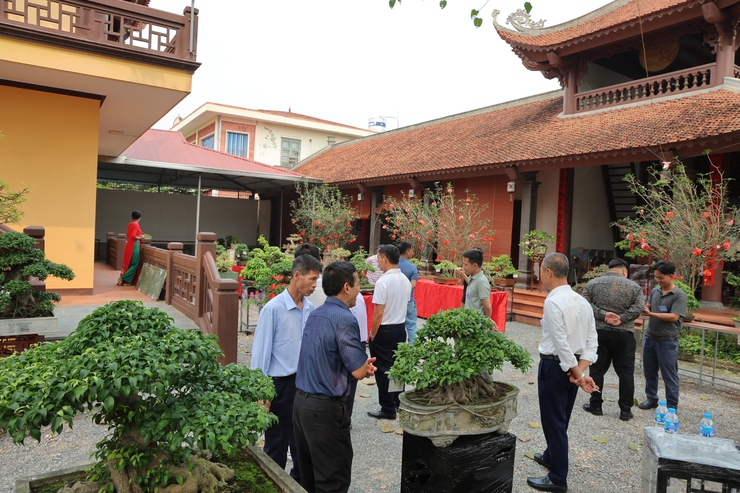 Câu lạc bộ Sinh vật cảnh Trung Hòa, xã Phú Nghĩa tổ chức trưng bày sinh vật cảnh chào mừng Lễ hội truyền thống làng Trung Cao năm 2026- Ảnh 7.