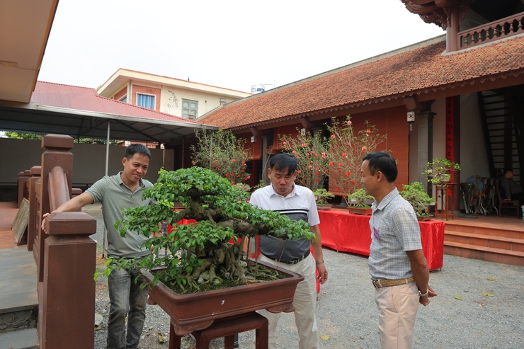 Câu lạc bộ Sinh vật cảnh Trung Hòa, xã Phú Nghĩa tổ chức trưng bày sinh vật cảnh chào mừng Lễ hội truyền thống làng Trung Cao năm 2026- Ảnh 9.