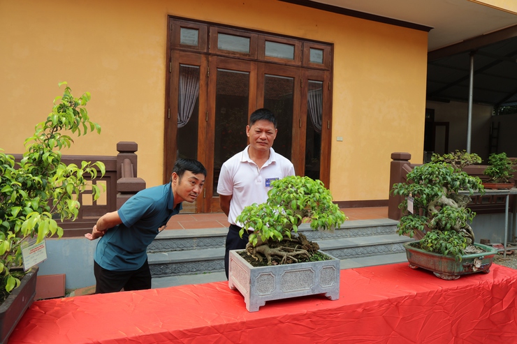 Câu lạc bộ Sinh vật cảnh Trung Hòa, xã Phú Nghĩa tổ chức trưng bày sinh vật cảnh chào mừng Lễ hội truyền thống làng Trung Cao năm 2026- Ảnh 13.