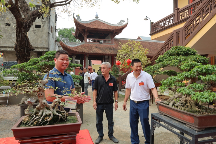 Câu lạc bộ Sinh vật cảnh Trung Hòa, xã Phú Nghĩa tổ chức trưng bày sinh vật cảnh chào mừng Lễ hội truyền thống làng Trung Cao năm 2026- Ảnh 14.