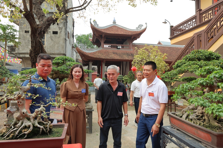 Câu lạc bộ Sinh vật cảnh Trung Hòa, xã Phú Nghĩa tổ chức trưng bày sinh vật cảnh chào mừng Lễ hội truyền thống làng Trung Cao năm 2026- Ảnh 8.