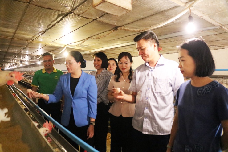 Chủ tịch Hội Nông dân thành phố Hà Nội Phạm Hải Hoa về làm việc tại xã Quảng Bị- Ảnh 3.