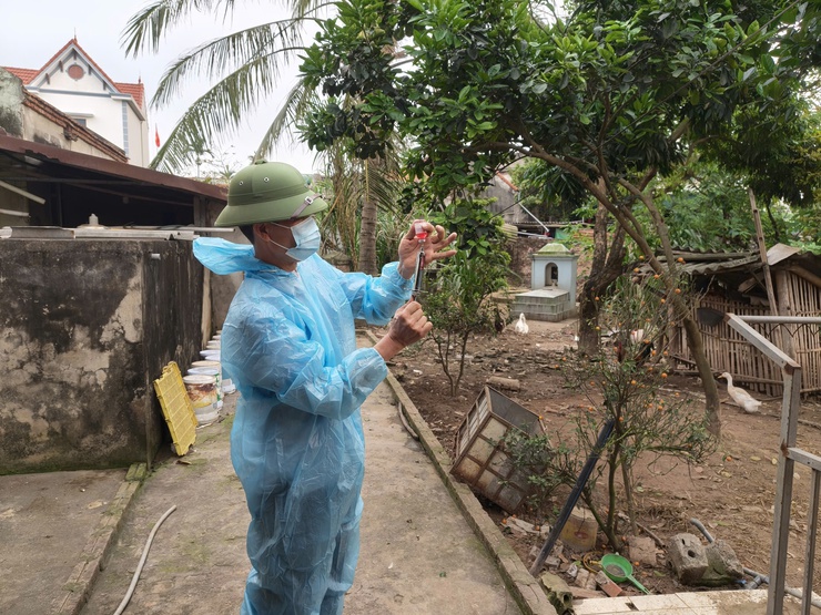 TRUNG TÂM DỊCH VỤ TỔNG HỢP XÃ  TỔ CHỨC TIÊM PHÒNG VẮC XIN CHO ĐÀN GIA SÚC, GIA CẦM- Ảnh 3.