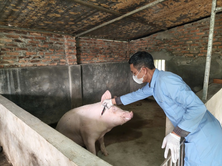 TRUNG TÂM DỊCH VỤ TỔNG HỢP XÃ  TỔ CHỨC TIÊM PHÒNG VẮC XIN CHO ĐÀN GIA SÚC, GIA CẦM- Ảnh 5.