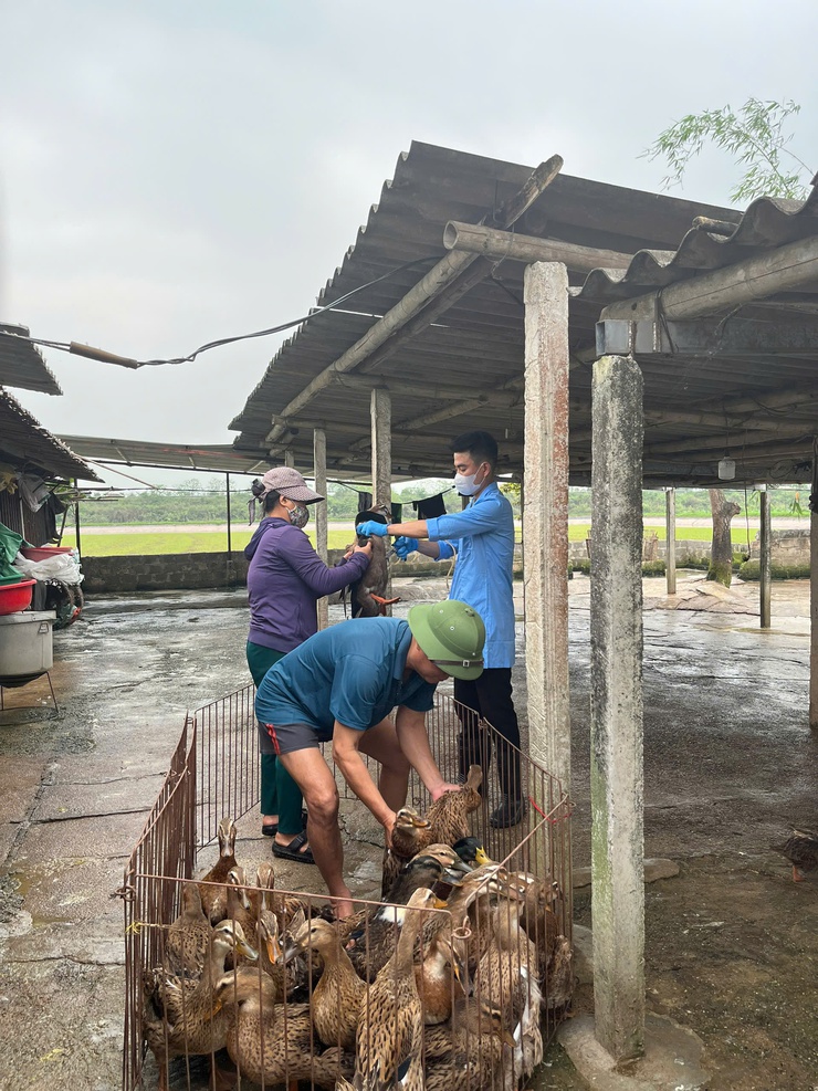 TRUNG TÂM DỊCH VỤ TỔNG HỢP XÃ  TỔ CHỨC TIÊM PHÒNG VẮC XIN CHO ĐÀN GIA SÚC, GIA CẦM- Ảnh 2.