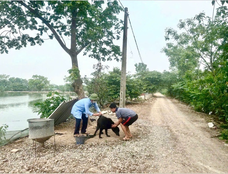 Xã Vân Đình:  Triển khai tiêm phòng vắc xin dại đợt 1 năm 2026- Ảnh 2.