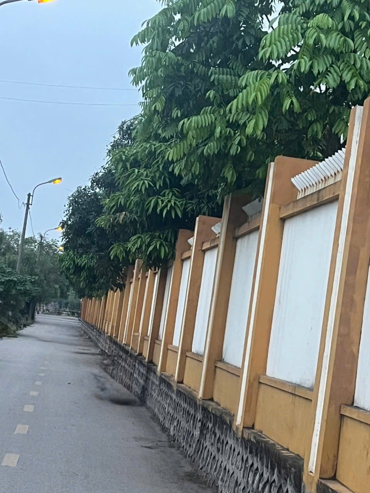 Đoàn viên giáo viên trường Tiểu học Thúy Lĩnh tích cực ra quân tổng vệ sinh vì môi trường Xanh – Sạch – Đẹp- Ảnh 3.