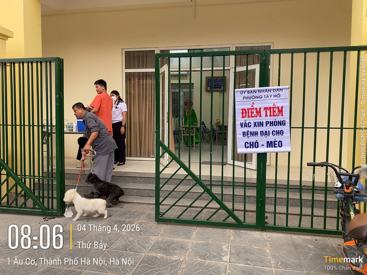 Phường Tây Hồ triển khai đồng bộ công tác thống kê, quản lý và tiêm phòng vắc xin bệnh Dại cho đàn chó, mèo năm 2026- Ảnh 4.