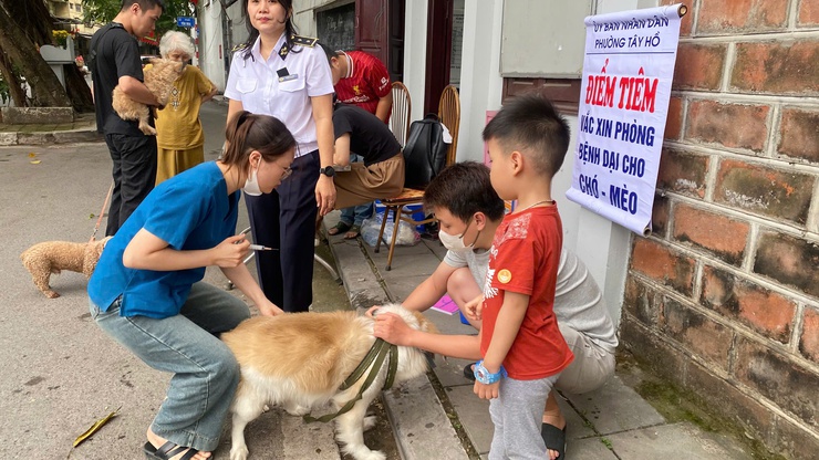 Phường Tây Hồ triển khai đồng bộ công tác thống kê, quản lý và tiêm phòng vắc xin bệnh Dại cho đàn chó, mèo năm 2026- Ảnh 5.