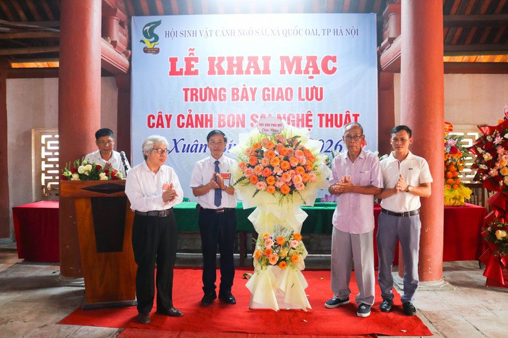 Khai mạc trưng bày giao lưu cây cảnh bon sai nghệ thuật xuân Bính Ngọ 2026- Ảnh 10.