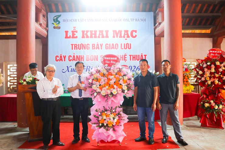 Khai mạc trưng bày giao lưu cây cảnh bon sai nghệ thuật xuân Bính Ngọ 2026- Ảnh 11.