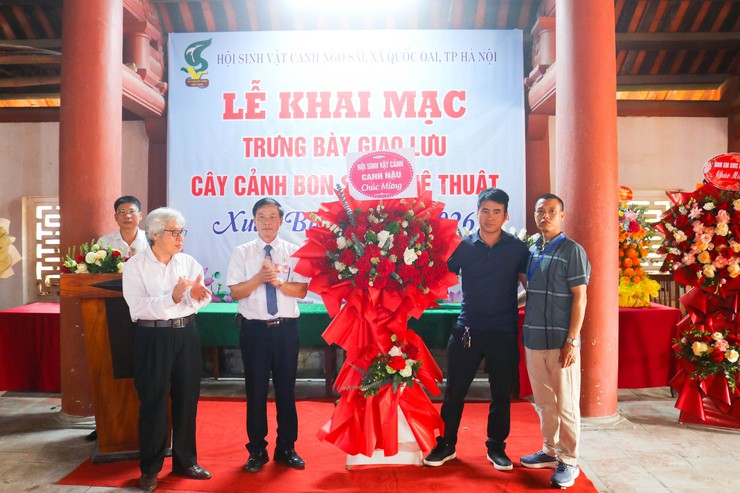 Khai mạc trưng bày giao lưu cây cảnh bon sai nghệ thuật xuân Bính Ngọ 2026- Ảnh 12.