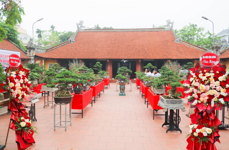 Khai mạc trưng bày giao lưu cây cảnh bon sai nghệ thuật xuân Bính Ngọ 2026- Ảnh 17.