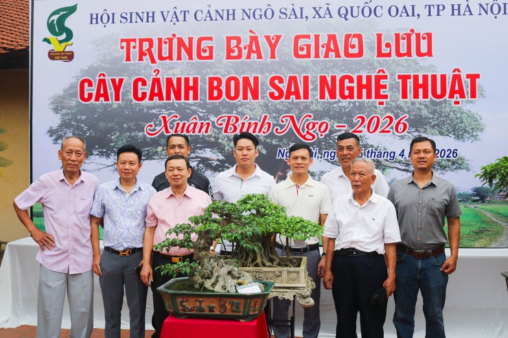 Khai mạc trưng bày giao lưu cây cảnh bon sai nghệ thuật xuân Bính Ngọ 2026- Ảnh 19.