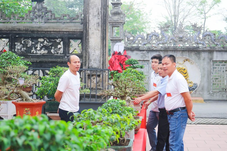 Khai mạc trưng bày giao lưu cây cảnh bon sai nghệ thuật xuân Bính Ngọ 2026- Ảnh 20.