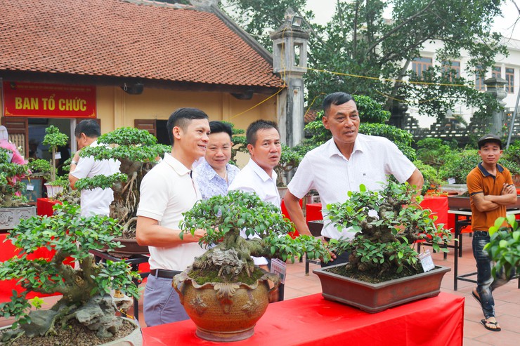 Khai mạc trưng bày giao lưu cây cảnh bon sai nghệ thuật xuân Bính Ngọ 2026- Ảnh 21.