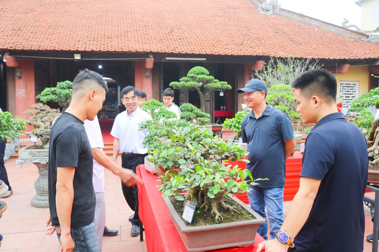 Khai mạc trưng bày giao lưu cây cảnh bon sai nghệ thuật xuân Bính Ngọ 2026- Ảnh 23.
