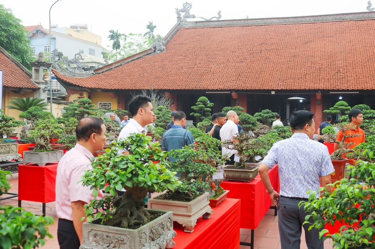 Khai mạc trưng bày giao lưu cây cảnh bon sai nghệ thuật xuân Bính Ngọ 2026- Ảnh 24.
