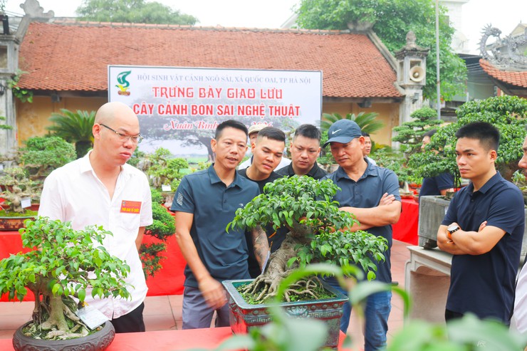 Khai mạc trưng bày giao lưu cây cảnh bon sai nghệ thuật xuân Bính Ngọ 2026- Ảnh 25.