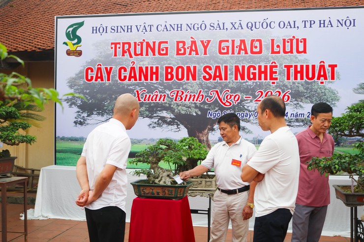 Khai mạc trưng bày giao lưu cây cảnh bon sai nghệ thuật xuân Bính Ngọ 2026- Ảnh 27.